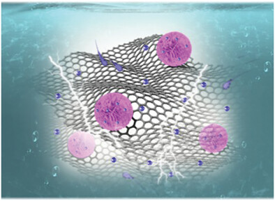 Biomimetic Mineralization Synthesis of Flower-Like Cobalt Selenide/Reduced Graphene Oxide for Improved Electrochemical Deionization