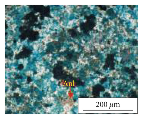 Details are in the caption following the image