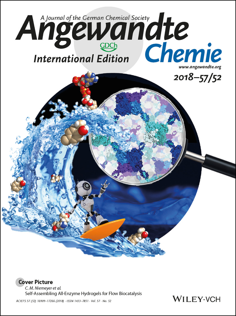 Cover Picture: Self-Assembling All-Enzyme Hydrogels for Flow Biocatalysis (Angew. Chem. Int. Ed. 52/2018) Volume 57 Issue 52, 2018