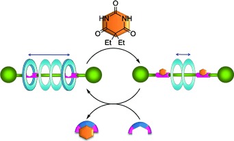 Small-Molecule Recognition for Controlling Molecular Motion in Hydrogen-Bond-Assembled Rotaxanes