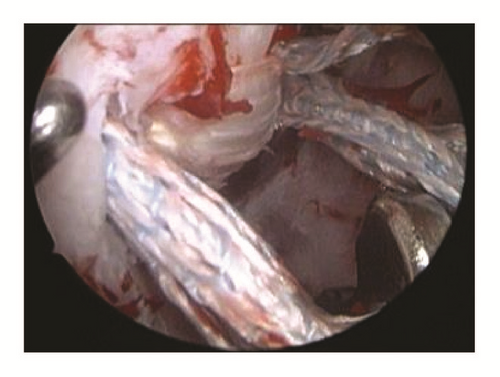 Details are in the caption following the image Details are in the caption following the image