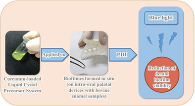 Liquid crystal precursor system as a vehicle for curcumin-mediated photodynamic inactivation of oral biofilms