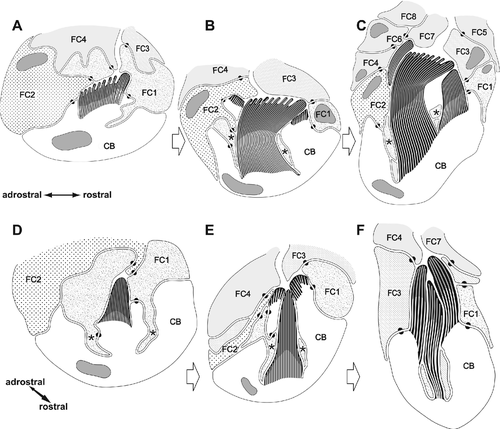 Details are in the caption following the image Details are in the caption following the image