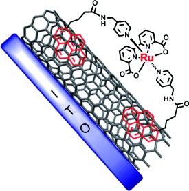 Highly Efficient Oxidation of Water by a Molecular Catalyst Immobilized on Carbon Nanotubes
