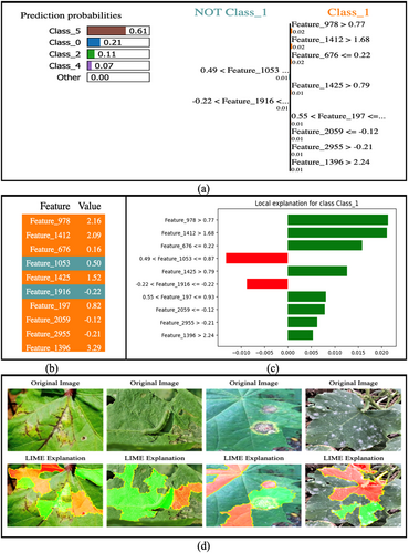 Details are in the caption following the image Details are in the caption following the image