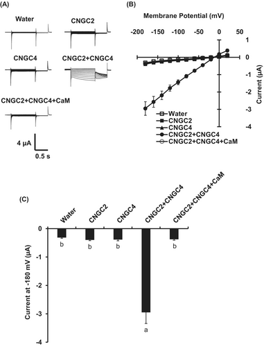 Details are in the caption following the image Details are in the caption following the image