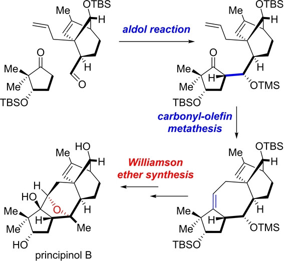 Total Synthesis of Principinol B