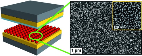 A Self-Powered Triboelectric Nanosensor for Mercury Ion Detection