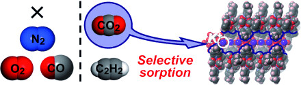 Inverse and High CO2/C2H2 Sorption Selectivity in Flexible Organic–Inorganic Ionic Crystals
