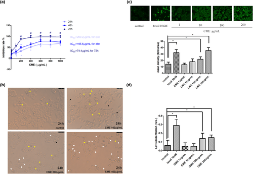 Details are in the caption following the image Details are in the caption following the image