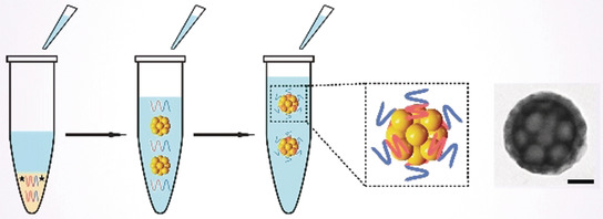 Stable Polymer Nanoparticles with Exceptionally High Drug Loading by Sequential Nanoprecipitation