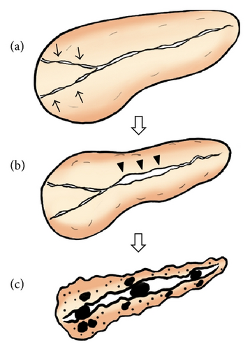 Details are in the caption following the image Details are in the caption following the image