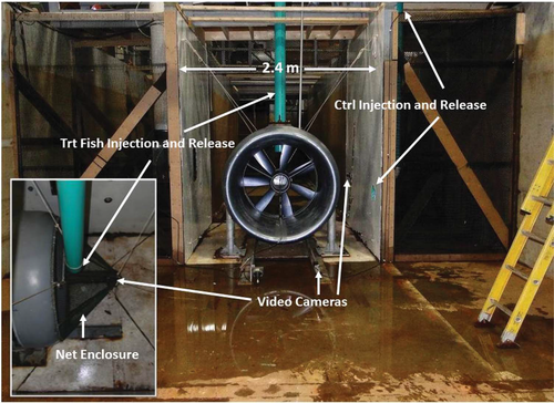 Details are in the caption following the image