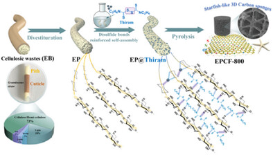 Disulfide Bonds Reinforced Self-Assembly of Cellulosic Wastes Toward N/S-Enriched 3D Carbon Foams with Starfish-Like Networks for High-Performance Supercapacitors