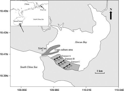 Details are in the caption following the image Details are in the caption following the image