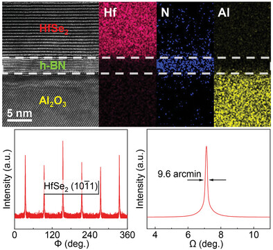 Van der Waals Epitaxy of High-Quality Transition Metal Dichalcogenides on Single-Crystal Hexagonal Boron Nitride