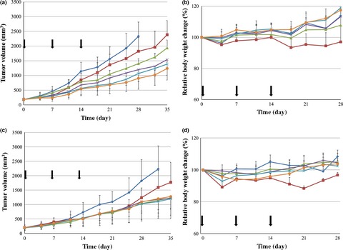 Utility of epirubicin-incorporating micelles tagged with anti-tissue factor antibody clone with no anticoagulant effect