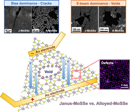Investigation of Atomic-Scale Mechanical Behavior by Bias-Induced Degradation in Janus and Alloy Polymorphic Monolayer TMDs via In Situ TEM