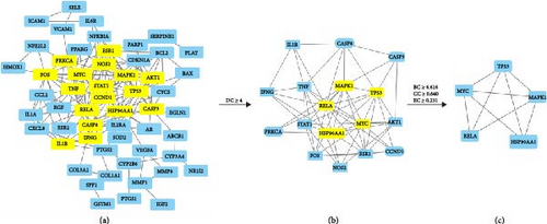Details are in the caption following the image Details are in the caption following the image