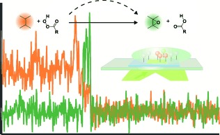 Distinguishing Alternative Reaction Pathways by Single-Molecule Fluorescence Spectroscopy
