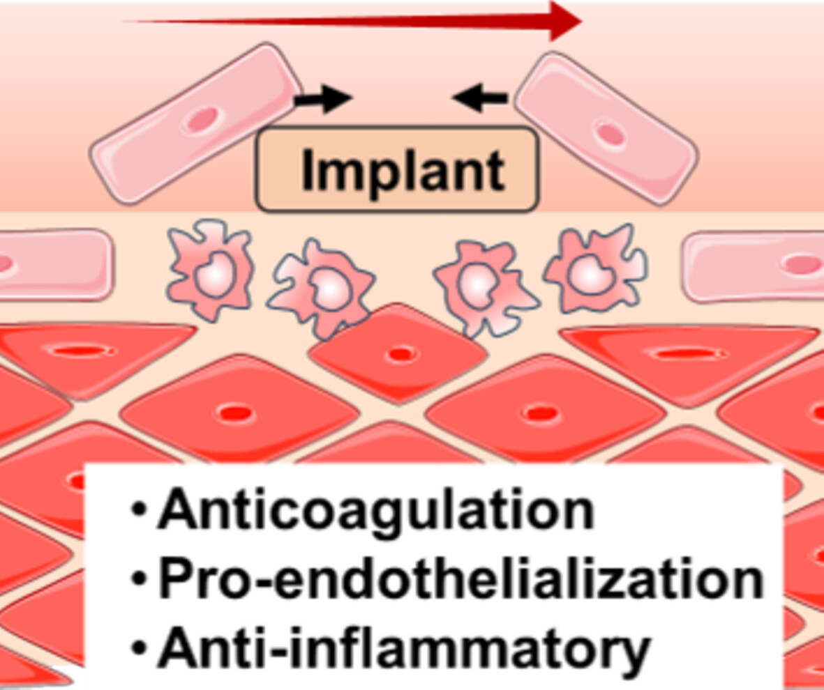 Versatile Coating via Programmed Assembly of miR-155 Inhibitor and Endothelial Affinity Peptide