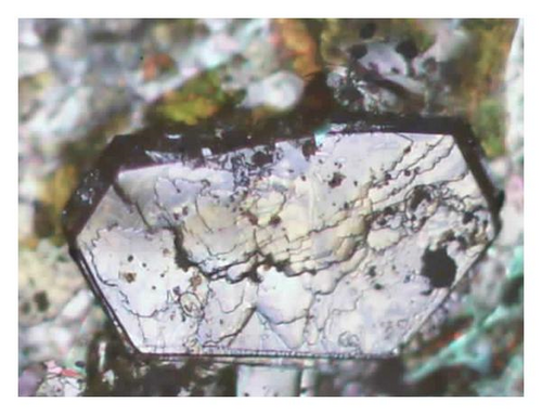 Details are in the caption following the image Details are in the caption following the image
