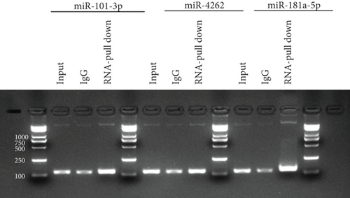 Details are in the caption following the image
