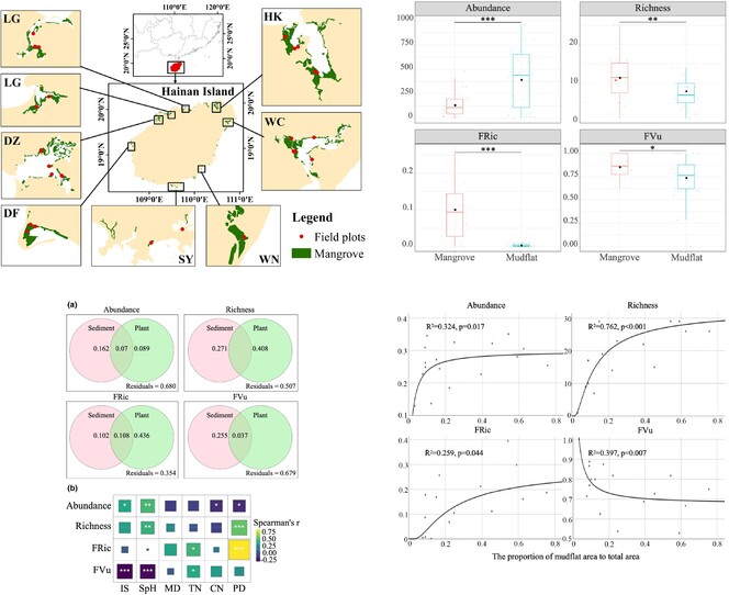 Optimizing mangrove afforestation: Mollusc biodiversity comparisons reveal optimal mudflat–mangrove area ratio