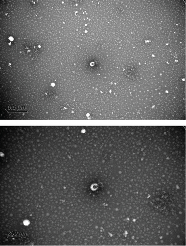 Details are in the caption following the image