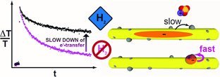 Delayed Photoelectron Transfer in Pt-Decorated CdS Nanorods under Hydrogen Generation Conditions