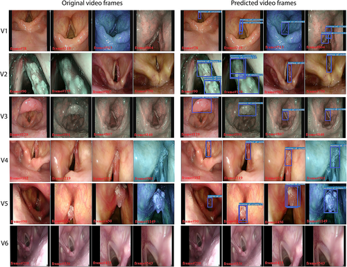Details are in the caption following the image Details are in the caption following the image