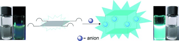 Anion-Coordination-Induced Turn-On Fluorescence of an Oligourea-Functionalized Tetraphenylethene in a Wide Concentration Range