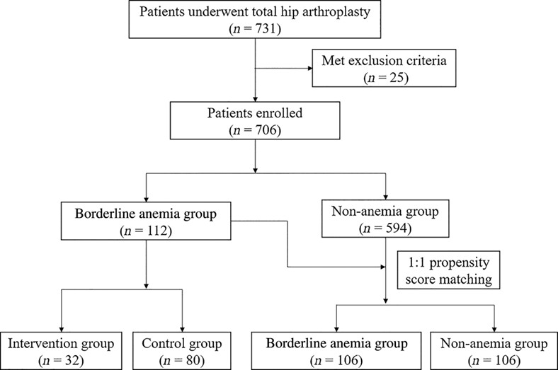 Do Patients with Borderline Anemia Need Treatment before Total Hip Arthroplasty? A Propensity Score-Matched Cohort Study