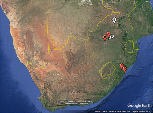 Details are in the caption following the image Details are in the caption following the image