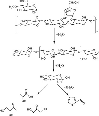 Hot Water Pretreatment of Lignocellulosic Biomass: An Effective and Environmentally Friendly Approach to Enhance Biofuel Production