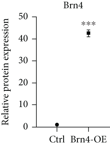 Details are in the caption following the image