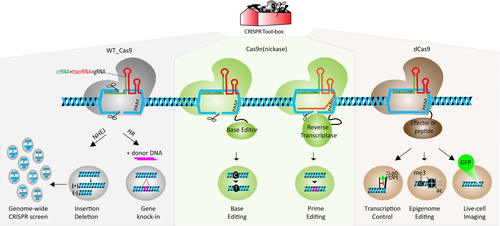 Details are in the caption following the image Details are in the caption following the image