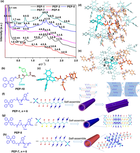 Details are in the caption following the image Details are in the caption following the image
