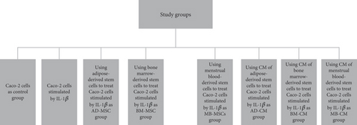 Details are in the caption following the image Details are in the caption following the image