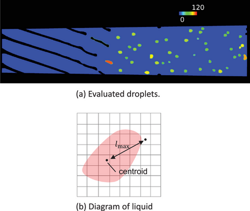 Details are in the caption following the image Details are in the caption following the image