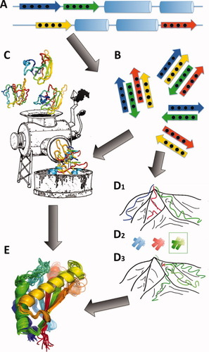 Details are in the caption following the image Details are in the caption following the image