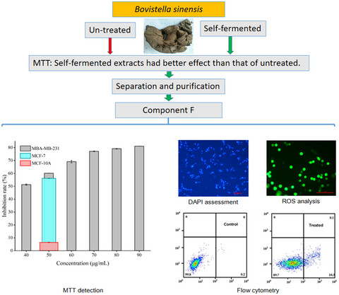 Anti-breast-cancer activity of self-fermented Bovistella sinensis Lloyd extracts through the mitochondrial ROS-induced apoptosis in vitro