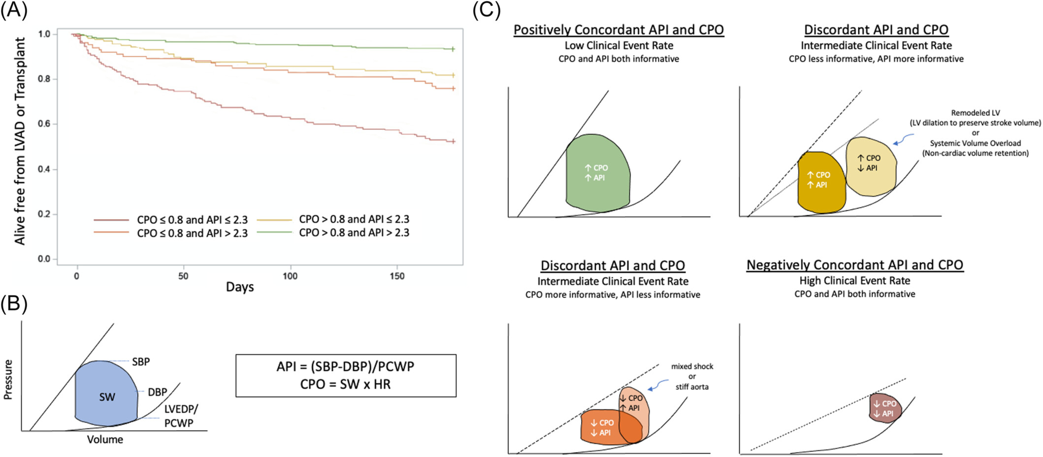 PREDICT HF: Risk stratification in advanced heart failure using novel hemodynamic parameters
