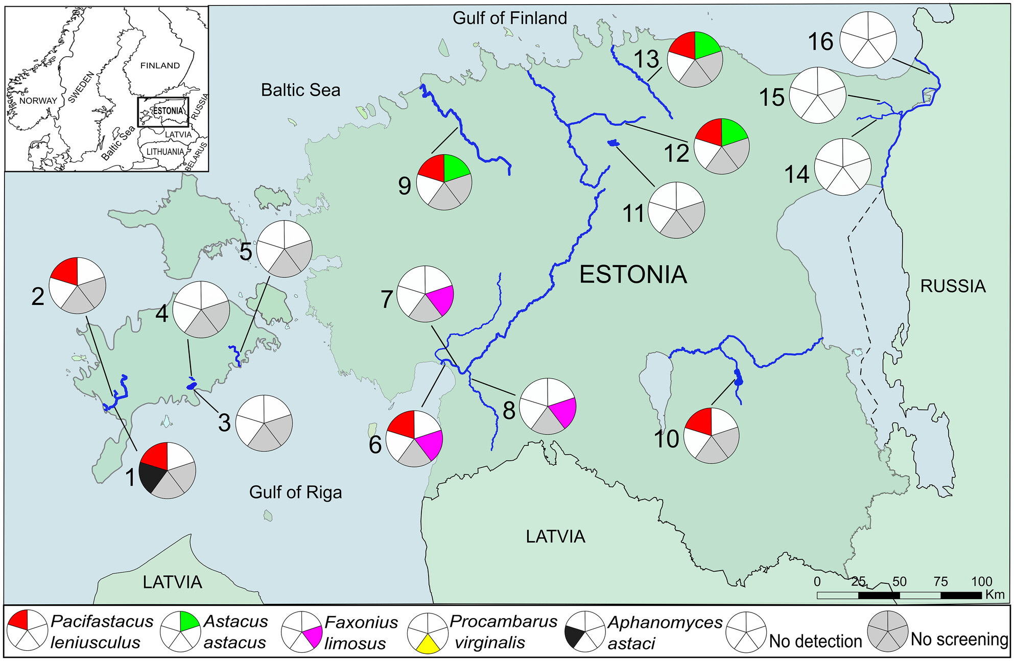 eDNA-Based Detection of Invasive Crayfish and Crayfish Plague in Estonia