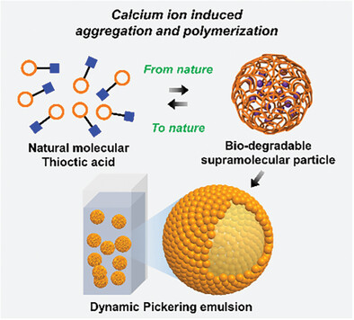 A Bio-Redox Dynamic Pickering Emulsion from Nature to Nature