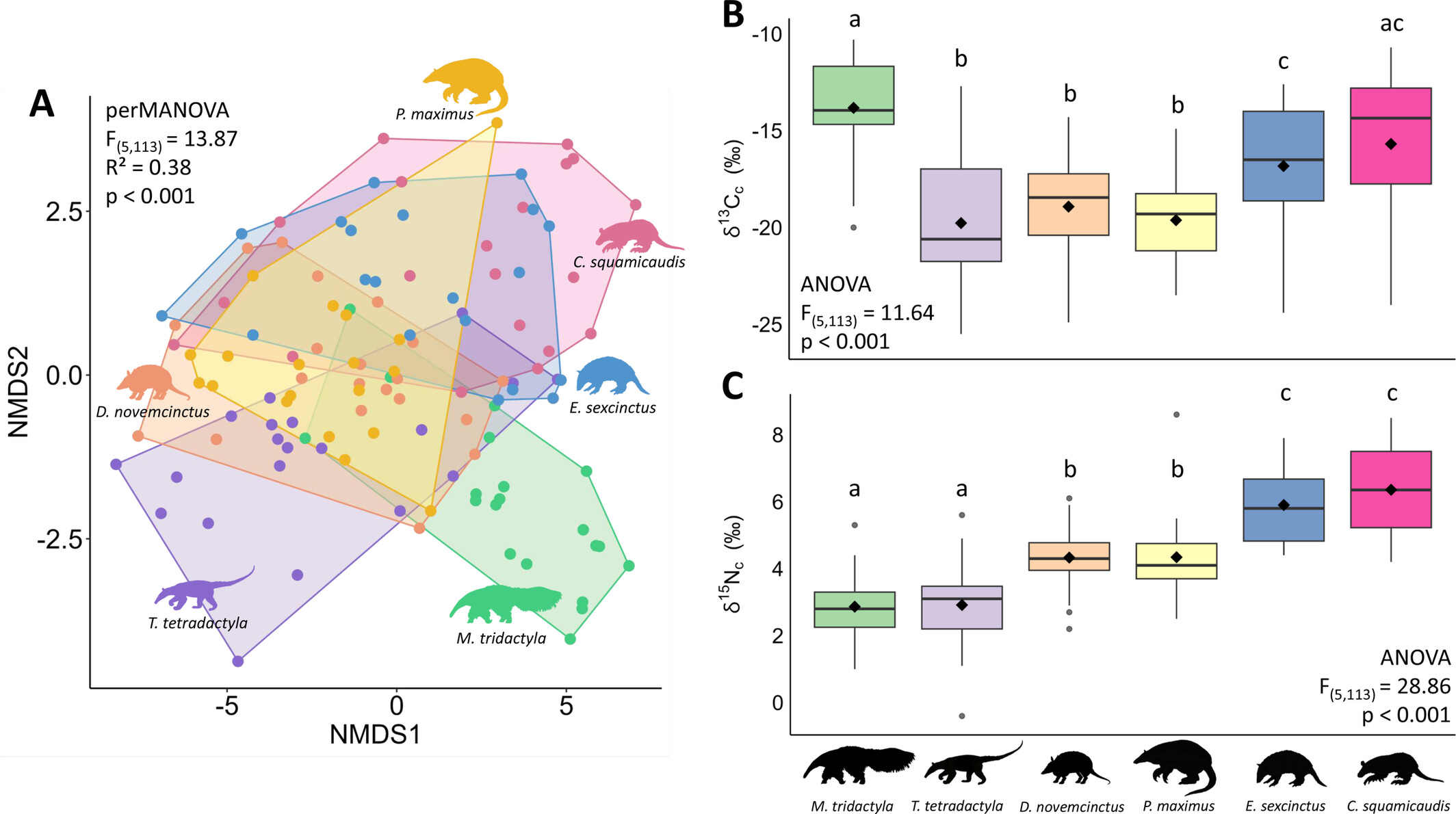 Divergence Across Niche Dimensions Reveals Species' Ecological Roles Issue 7, 2025