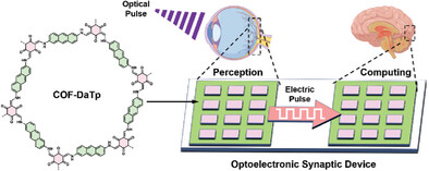 Photodual-Responsive Anthracene-Based 2D Covalent Organic Framework for Optoelectronic Synaptic Devices