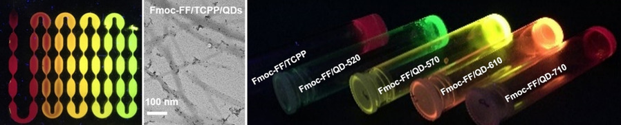 Embedment of Quantum Dots and Biomolecules in a Dipeptide Hydrogel Formed In Situ Using Microfluidics