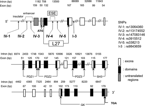 Details are in the caption following the image Details are in the caption following the image