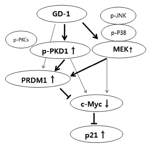 Details are in the caption following the image
